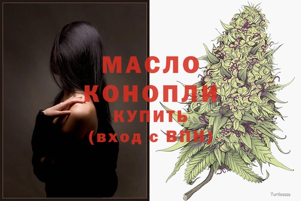 трава Ельня