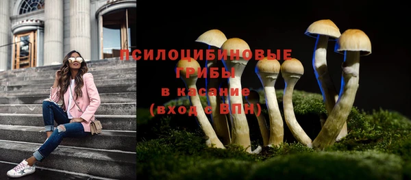 таблы Алексин